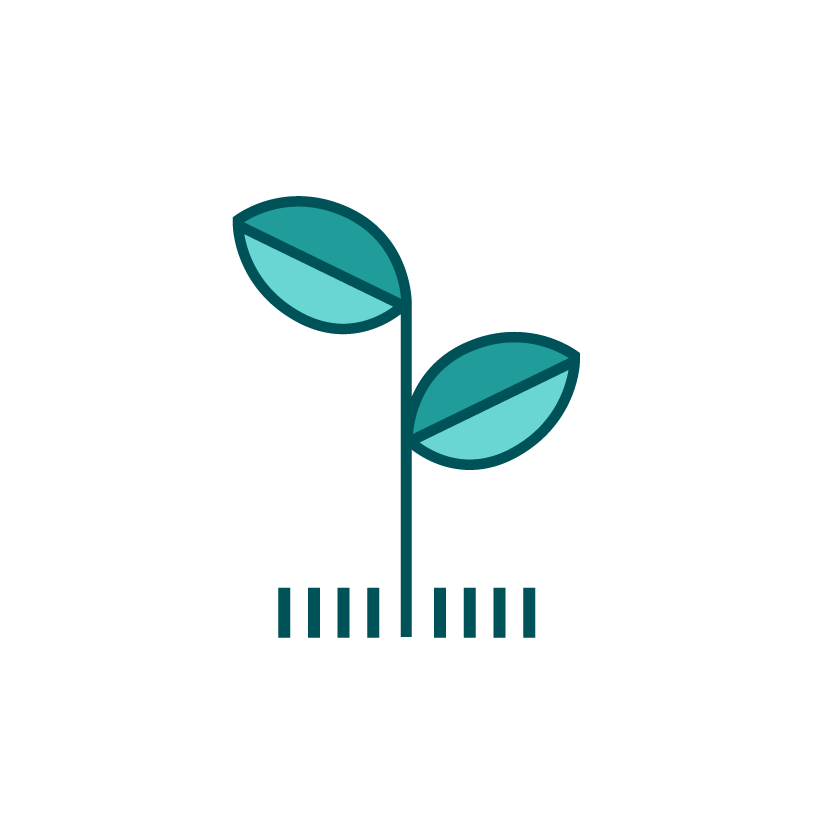 icon of new plant growth