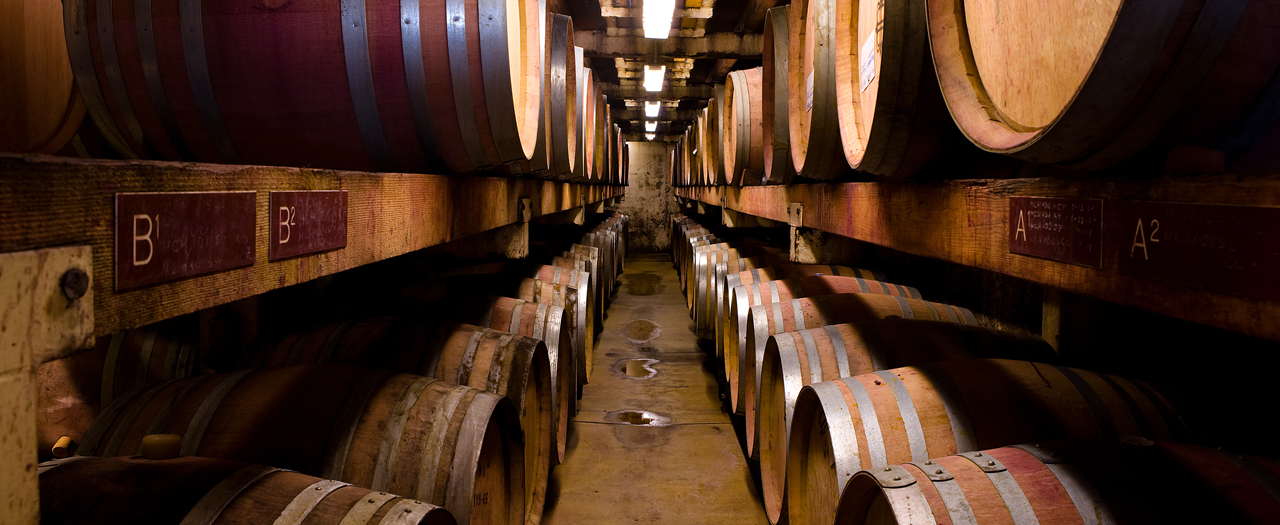 wine barrels